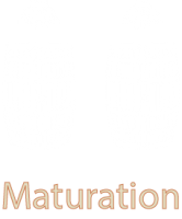 maturation